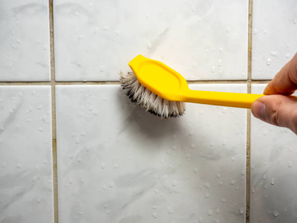 Best Mold Testing and Inspection Services in Simonton Lake, IN
