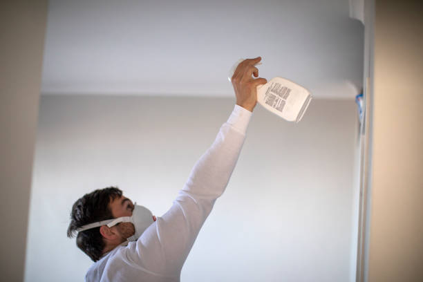 Best Localized Mold Remediation (e.g., coastal areas, humid climates) in Simonton Lake, IN