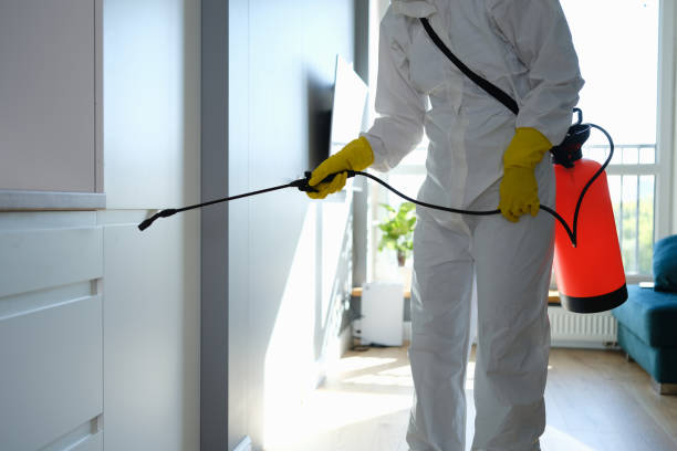 Best White Mold Remediation in Simonton Lake, IN