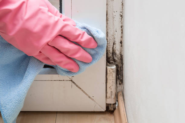 Simonton Lake, IN Mold Remediation Company